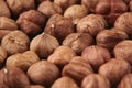 Hazelnut background. Pile of selected hazel close-up. Royalty Free Stock Photo