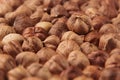 Hazelnut background. Pile of selected hazel close-up. Royalty Free Stock Photo