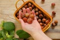 Hazelnut basket.Hand pouring nuts into the basket on a wooden table.Nuts with green leaves. harvest of hazelnuts. Farmed Royalty Free Stock Photo