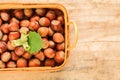 Hazelnut basket on a wooden table.Nut abundance. Fresh harvest of hazelnuts