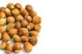 Hazelnut border isolated on a white background. Organic ripe nuts close up. Copy space Royalty Free Stock Photo