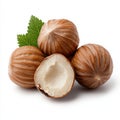 Hazelnut Bounty: A Nutritious and Exquisite Treat Royalty Free Stock Photo