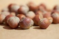 Hazelnut close up on a brown background Royalty Free Stock Photo