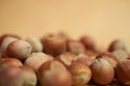 Hazelnut close up on a brown background Royalty Free Stock Photo