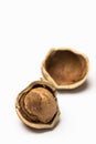 Hazelnut Cracked Open Royalty Free Stock Photo