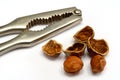 Hazelnut cracked open with nut cracker Royalty Free Stock Photo