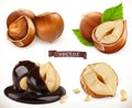 Hazelnut. 3d realistic vector icon set