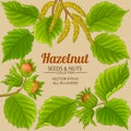 hazelnut frame on color background