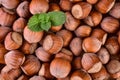 Hazelnut. Fresh organic filbert. Nuts macro. Food background. Royalty Free Stock Photo