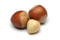 Hazelnut Group Royalty Free Stock Photo