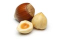 Hazelnut Group Royalty Free Stock Photo