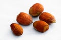 Hazelnut group Royalty Free Stock Photo