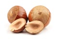 Hazelnut group Royalty Free Stock Photo