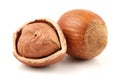 Hazelnut group