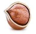 Hazelnut isolated Clipping Path