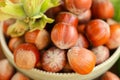 hazelnut harvest.Hazelnuts in a round green bowl with green leaves close-up on a wooden table. Farmed organic ripe Royalty Free Stock Photo