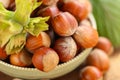 hazelnut harvest.Hazelnuts in a round green bowl with green leaves . Farmed organic ripe hazelnuts. Nut abundance