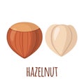 Hazelnut icon in flat style on white background