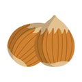 Hazelnut Icon. Food with Healthy Fats and Oils. Cartoon Vector I