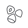 Hazelnut icon. Vector linear icon of nuts, contour, shape, outline isolated on a white background. Thin line. Modern