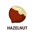 Hazelnut icon for web design