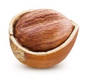 Hazelnut isolated Clipping Path