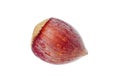Hazelnut isolated on a white background close-up Macro Royalty Free Stock Photo