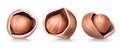 Hazelnut on white background. Collection of three cracked filbert nuts