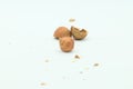 Hazelnut kernel and cracked nutshell behind