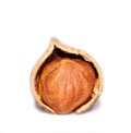 Hazelnut kernel in cracked shell