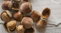 hazelnut close-up Royalty Free Stock Photo