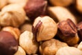 Hazelnut macro