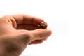 Hazelnut in man`s hand on white isolated background macro photo Royalty Free Stock Photo