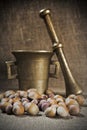 Hazelnut and mortar Royalty Free Stock Photo