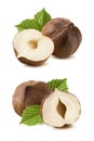 Hazelnut nut half double set separate leaf 10 isolated