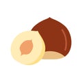 Hazelnut nut icon. Whole and half hazelnut. Vector illustration