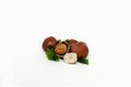 Hazelnut nut many leaves isolated on white background as package design element, with a place for the text Royalty Free Stock Photo