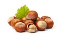 Hazelnut nut many leaves isolated on a white background as a packaging design element Royalty Free Stock Photo