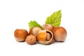 Hazelnut nut many leaves isolated on a white background as a packaging design element Royalty Free Stock Photo