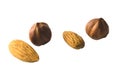 Hazelnut nuts and almond on white background Royalty Free Stock Photo