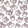 Hazelnut nuts pattern background set. Collection icons hazelnut nuts. Vector