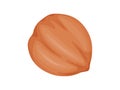 Hazelnut. Nuts in shell. Healthy and vegetarian foosd. Royalty Free Stock Photo
