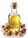 hazelnut oil in a bottle, with hazelnuts in the foreground, isolated on a white background Royalty Free Stock Photo