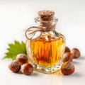 Hazelnut Oil in Bottle with Whole Hazelnuts on White Background Royalty Free Stock Photo