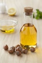 Hazelnut oil and hazelnuts Royalty Free Stock Photo