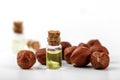 Hazelnut oil and nuts isolated on white Royalty Free Stock Photo