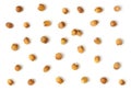 Hazelnut pattern. Nuts isolated on a white background. Fresh ripe filbert. Top view, flat lay