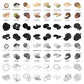 Hazelnut, pistachios, peanuts and other types of nuts.Different types of nuts set collection icons in cartoon style Royalty Free Stock Photo