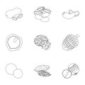 Hazelnut, pistachios, peanuts and other types of nuts.Different types of nuts set collection icons in outline style Royalty Free Stock Photo