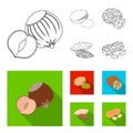 Hazelnut, pistachios, walnut, almonds.Different kinds of nuts set collection icons in outline,flat style vector symbol
